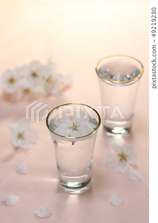Hanami sake (Japanese paper background) image No. 6 Hanami sake (Japanese paper background) image No. 6 49219280