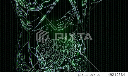 Transparent Human Body with Visible Bones Transparent Human Body with Visible Bones 49219384