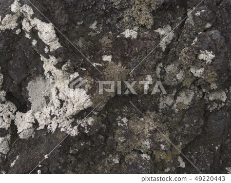 Rocky skin Rocky skin 49220443