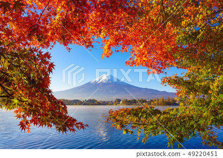 Mountain fuji with red maple in Autumn, 49220451