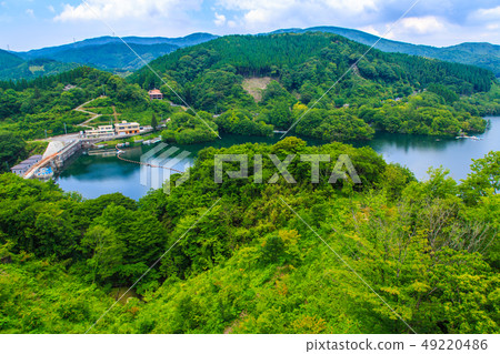 新鮮的綠色北山湖[佐賀縣佐賀市] 49220486