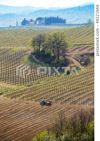 vineyards in the hills of Tuscany vineyards in the hills of Tuscany 49221668
