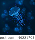 Hand drawn sketch isolated jellyfish, marine animals 49221703