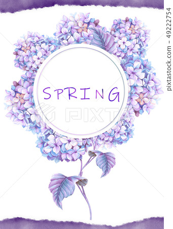 Purple watercolor hydrangea flower 49222754