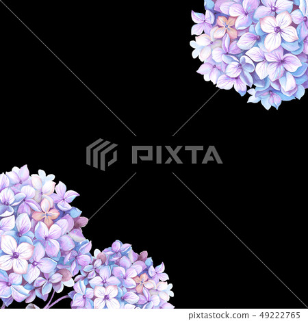 Purple watercolor hydrangea flower 49222765
