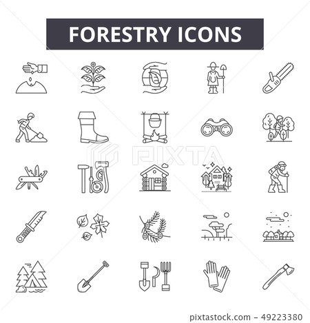 Forestry line icons for web and mobile design. Editable stroke signs. Forestry outline concept 49223380