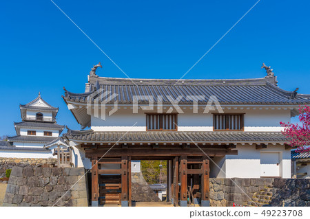 藍天和Shiraishi城堡 49223708