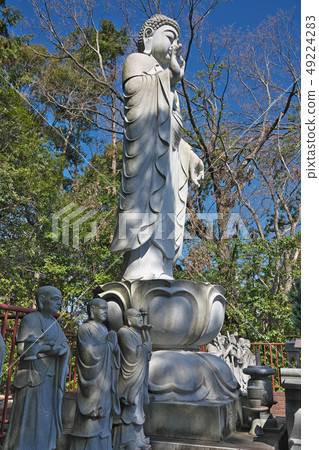 [Kozenji Shaka Nyorai] Mikanodai, Kawachinagano City, Osaka Prefecture 49224283
