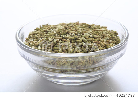 «Herb» Fennel «Herb» Fennel 49224788