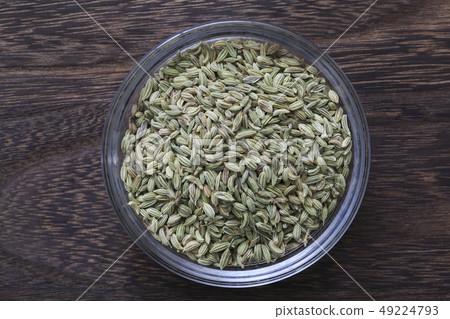 «Herb» Fennel 49224793