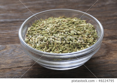 «Herb» Fennel 49224795