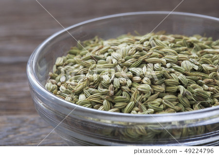 «香草»茴香 49224796