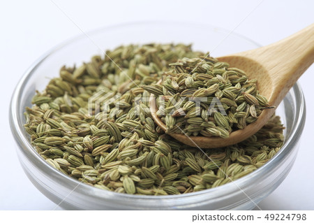 «Herb» Fennel 49224798
