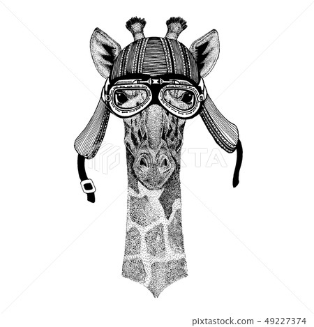 Camelopard, giraffe wild biker animal wearing motorcycle helmet. Hand drawn image for tattoo, emblem 49227374