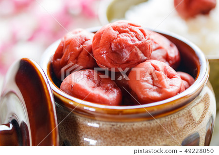 Homemade pickled plum and cooked rice 49228050