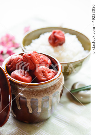 自製醃梅和米飯 自製醃梅和米飯 49228056