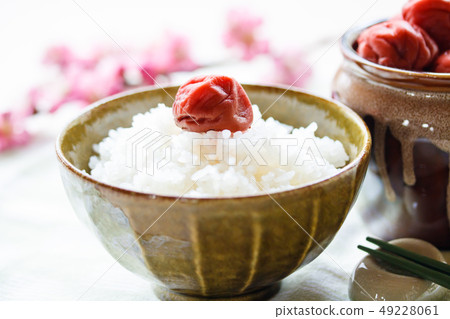Homemade pickled plum and cooked rice Homemade pickled plum and cooked rice 49228061