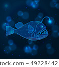 Hand drawn sketch Angler Fish, marine animals 49228442