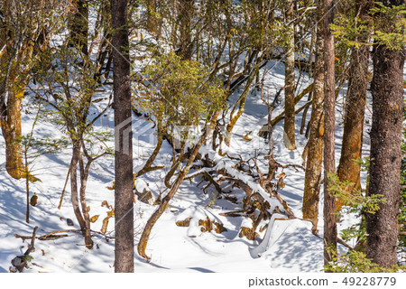 China Lijiang Jade Dragon Snow Mountain China Jade Dragon Snow Mountain 49228779