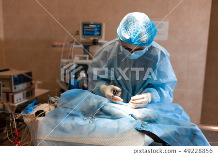 veterinarian or doctors doing surgery in the 49228856