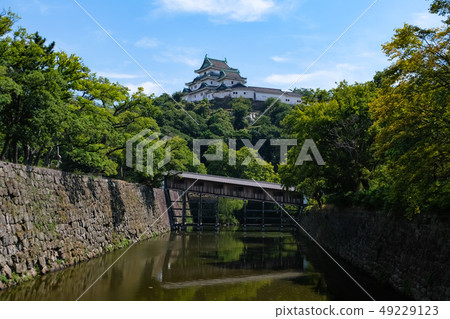 Wakayama Castle and Mobashi Hall 49229123