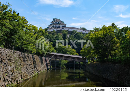 Wakayama Castle and Mobashi Hall 49229125