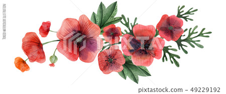 Red Poppy Gala Vignette 49229192