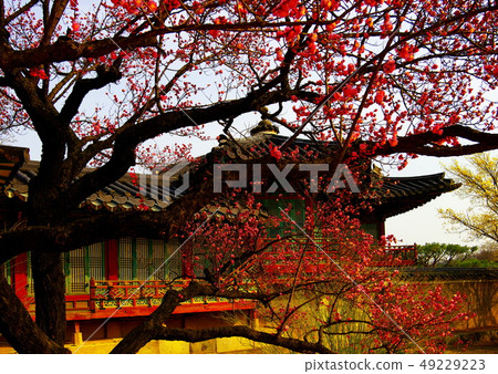 Changdeokgung palace 49229223