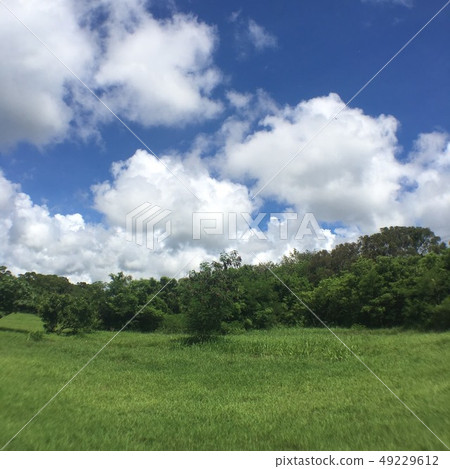 Kenting taiwan grassland green space sky white clouds weather 49229612