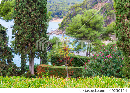 Sea view from Santa Clotilde gardens, Catalonia Sea view from Santa Clotilde gardens, Catalonia 49230124