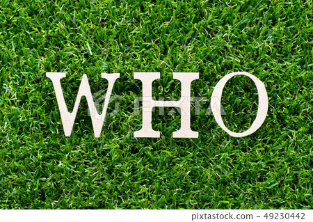 Wood letter in word who on artificial green grass 49230442