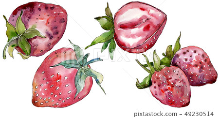 Strawberry healthy food in a watercolor style isolated. Watercolor background set. Isolated berry Strawberry healthy food in a watercolor style isolated. Watercolor background set. Isolated berry 49230514