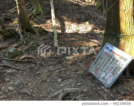 Izugatake mountain trail 49230656