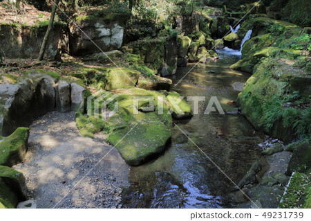 Seki's hydrophobic groove Seki's hydrophobic groove 49231739