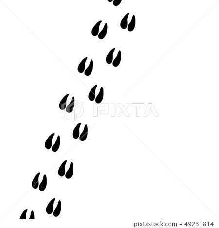 Hoof prints Hoof prints 49231814