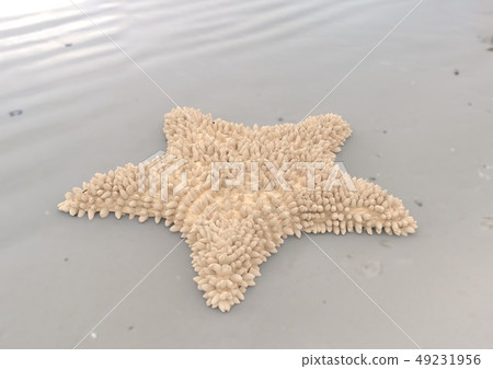Peach starfish on sandy beach 3d illustration Peach starfish on sandy beach 3d illustration 49231956