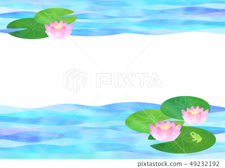 睡蓮和青蛙 睡蓮和青蛙 49232192