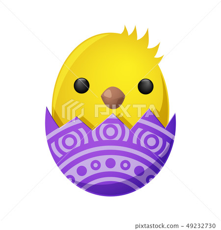 Newborn Chicken Hatch from Shell Vector Decoration 49232730