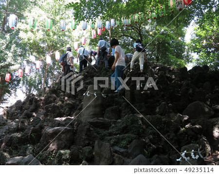 小野昭明神社的下田坂本的Fujimuka（山開放的那天） 49235114