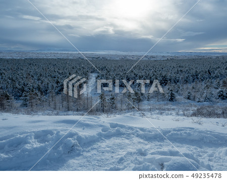 Land of Iceland Land of Iceland 49235478