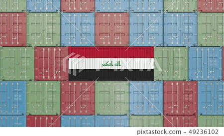 Cargo container with flag of Iraq. Iraqi import or export related 3D rendering 49236102