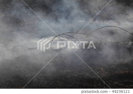 Fire in marsh, natural disaster 49236121
