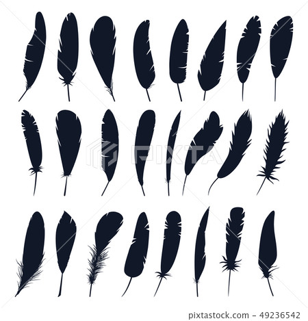 Set of isolated feather silhouette of bird.Plumage Set of isolated feather silhouette of bird.Plumage 49236542