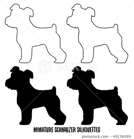 Miniature Schnauzer Bundle