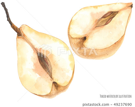 Fresh chinese pears Fresh chinese pears 49237690