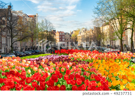 Houses of Amstardam, Netherlands 49237731