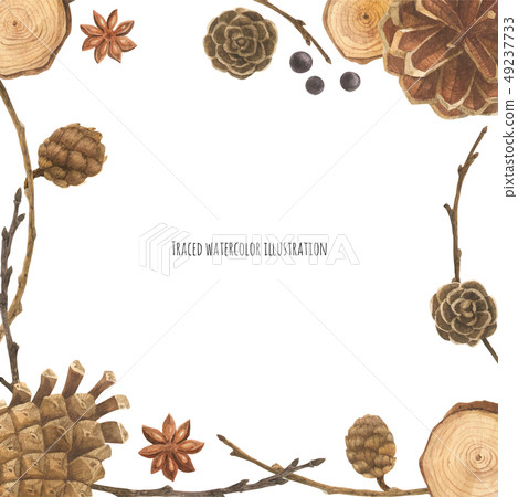 Dry Forest frame 49237733