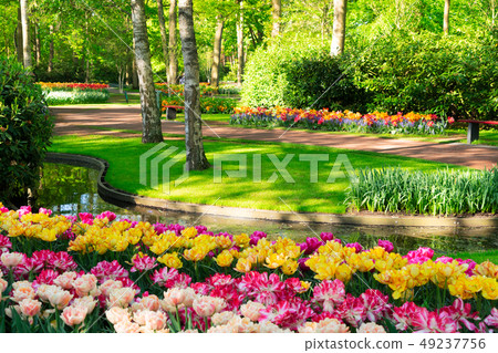fresh lawn with flowers fresh lawn with flowers 49237756
