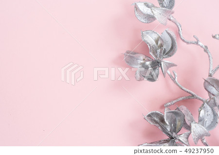 Magnolia Flowers on pink Magnolia Flowers on pink 49237950