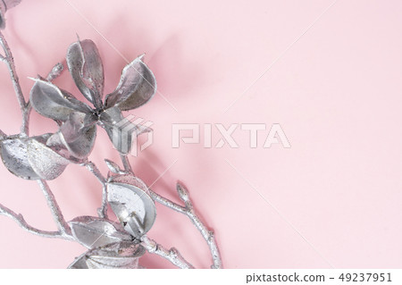 Magnolia Flowers on pink Magnolia Flowers on pink 49237951